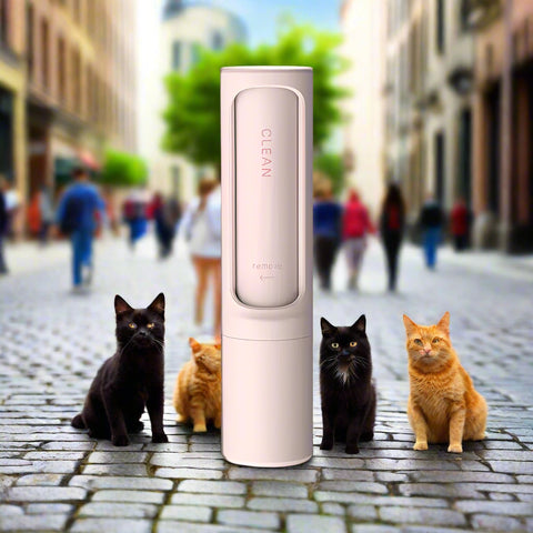 Furswipe - pet hair remover